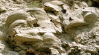 Viisoara Rocks - Photo album