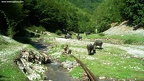 Sighistel Valley