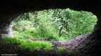 Tree-mold caves
