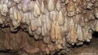 Roland cave