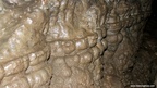Sugo cave Fossil gallery no. 2 - Photo album