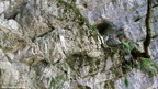 Izbandis cave - Photo album