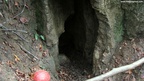 Fern Cave