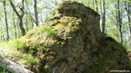 Bison Stone