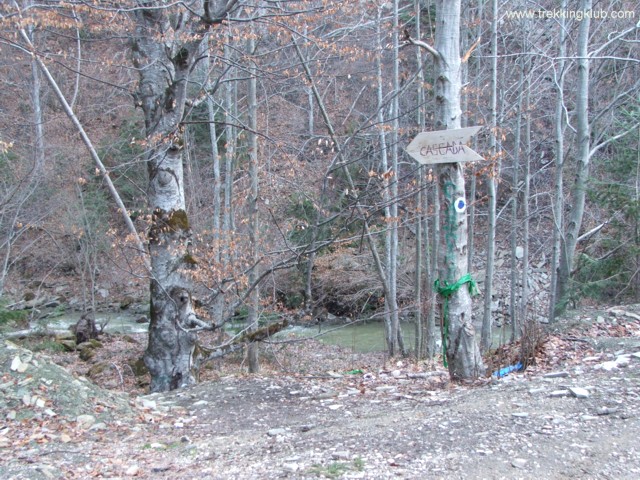 64063974800