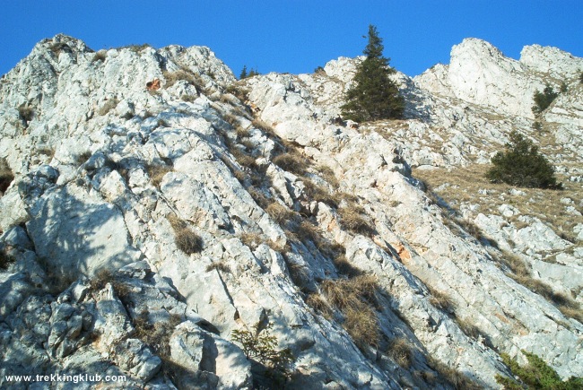65063674354