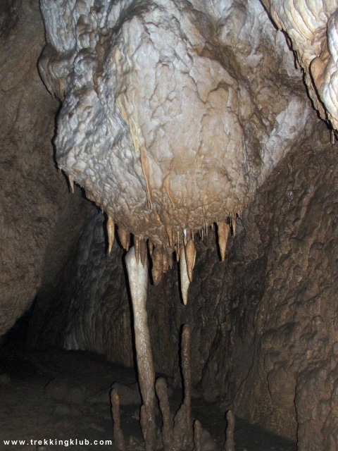 48026136403