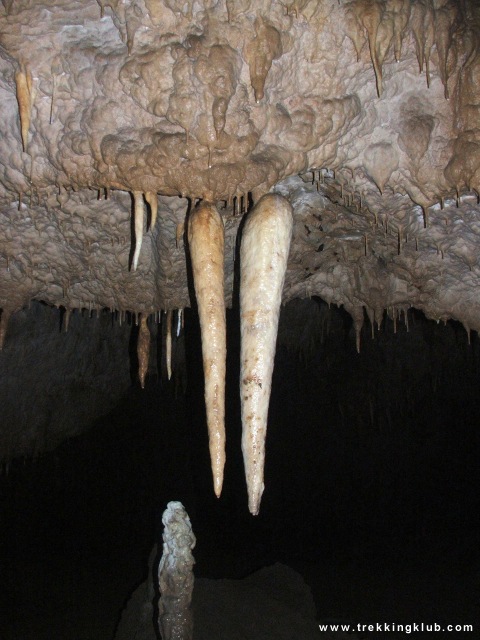 48026176404