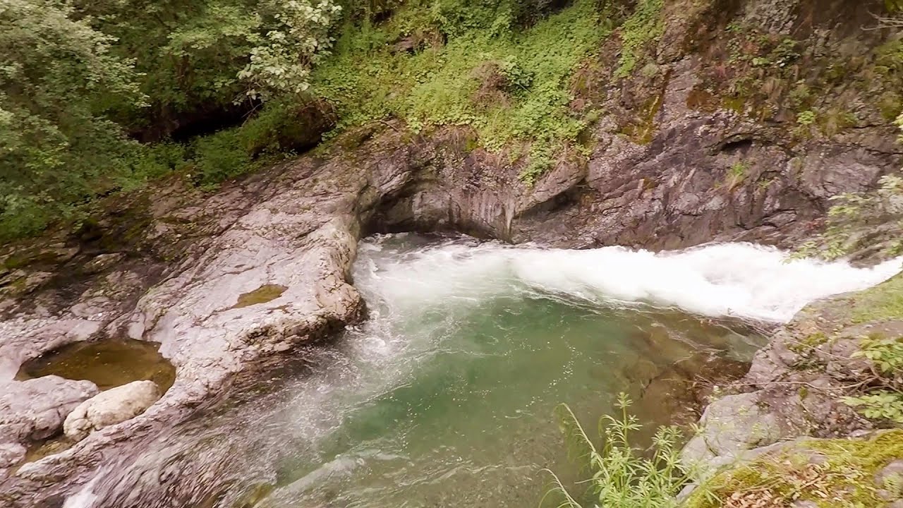 Video: Poteca eco Paraul Alb - Kalofer
