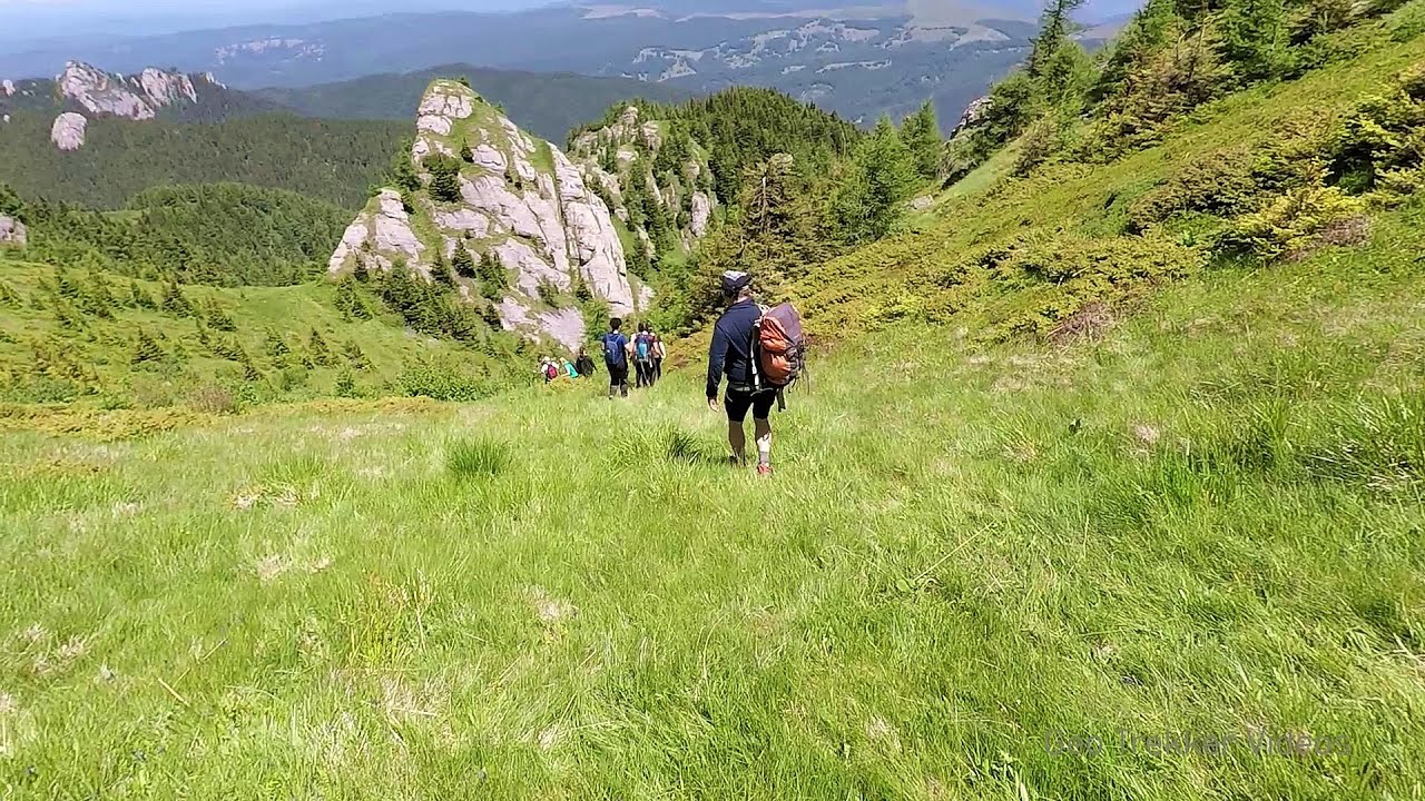 Vallées des ruisseaux Sterp et Blanc - Monts Ciucas