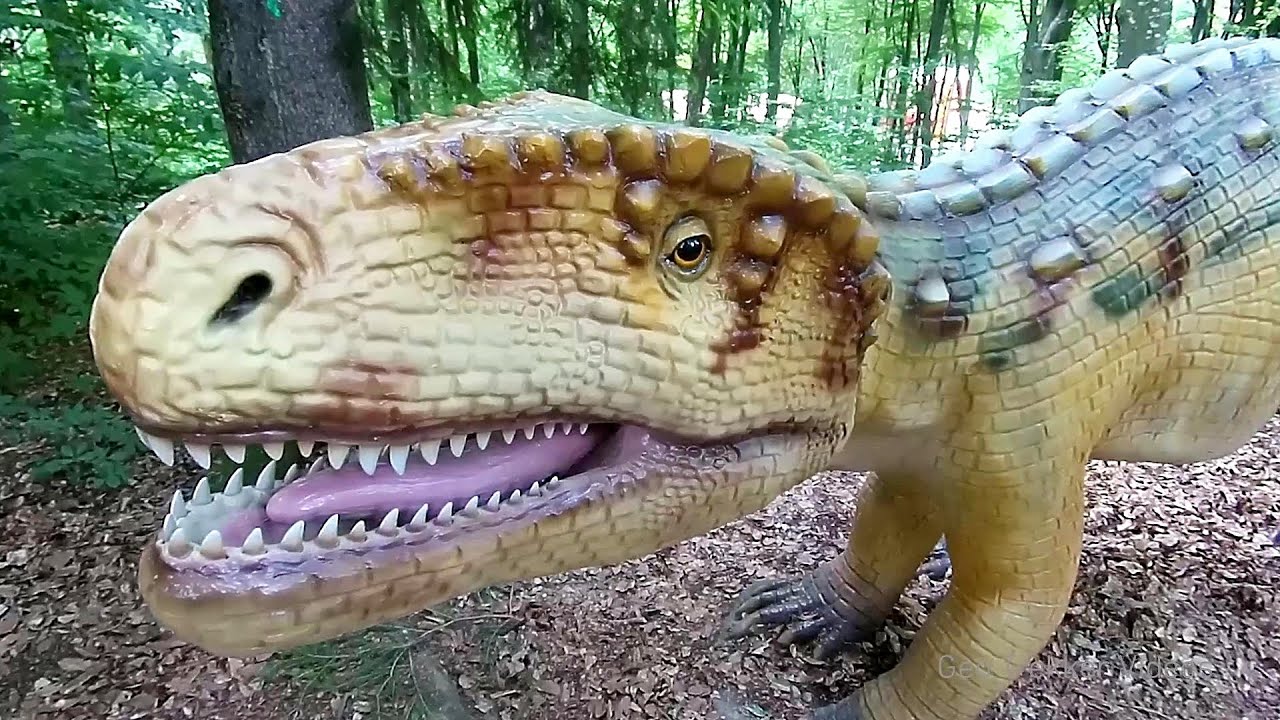 Video: Dino Parc Rasnov