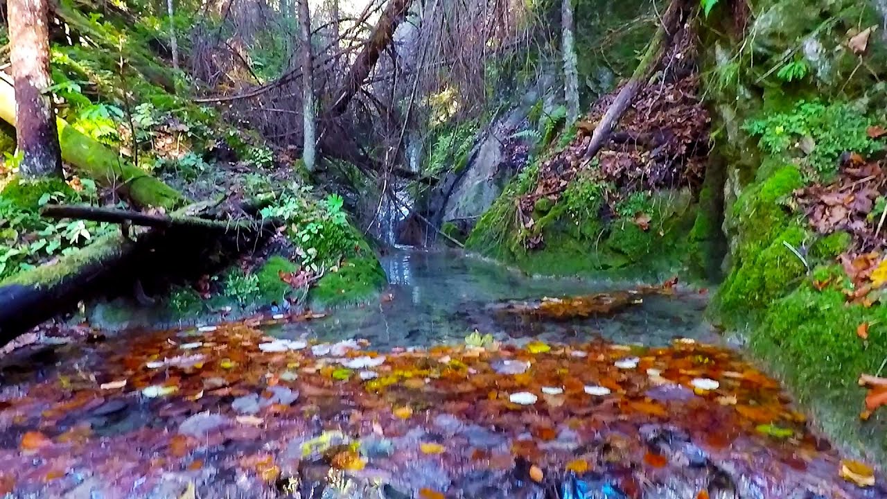 Cuencas de piedra del arroyo Blanco - video