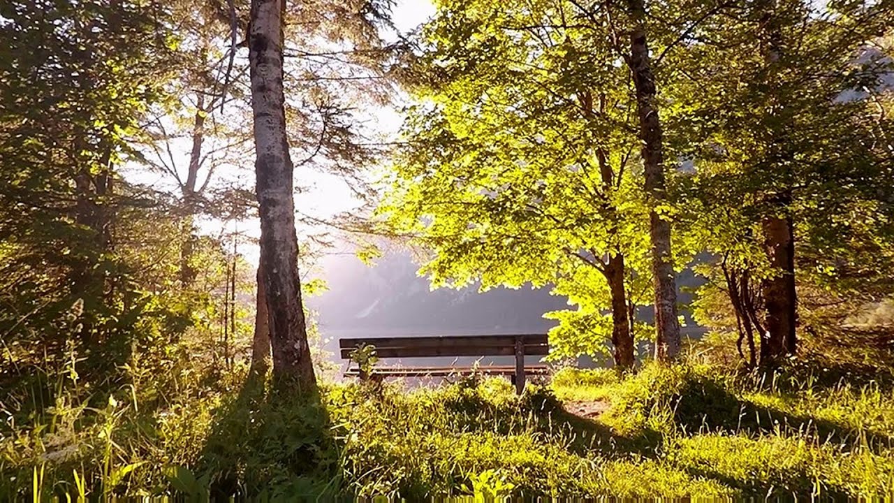 Leopoldsteiner lake - Eisenerz, Steiermark