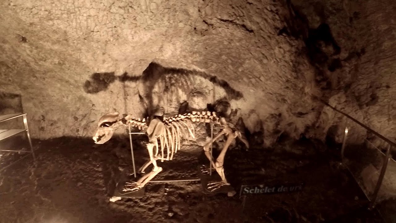 Grotte des Femmes (Pestera Muierilor) - Baia de Fier