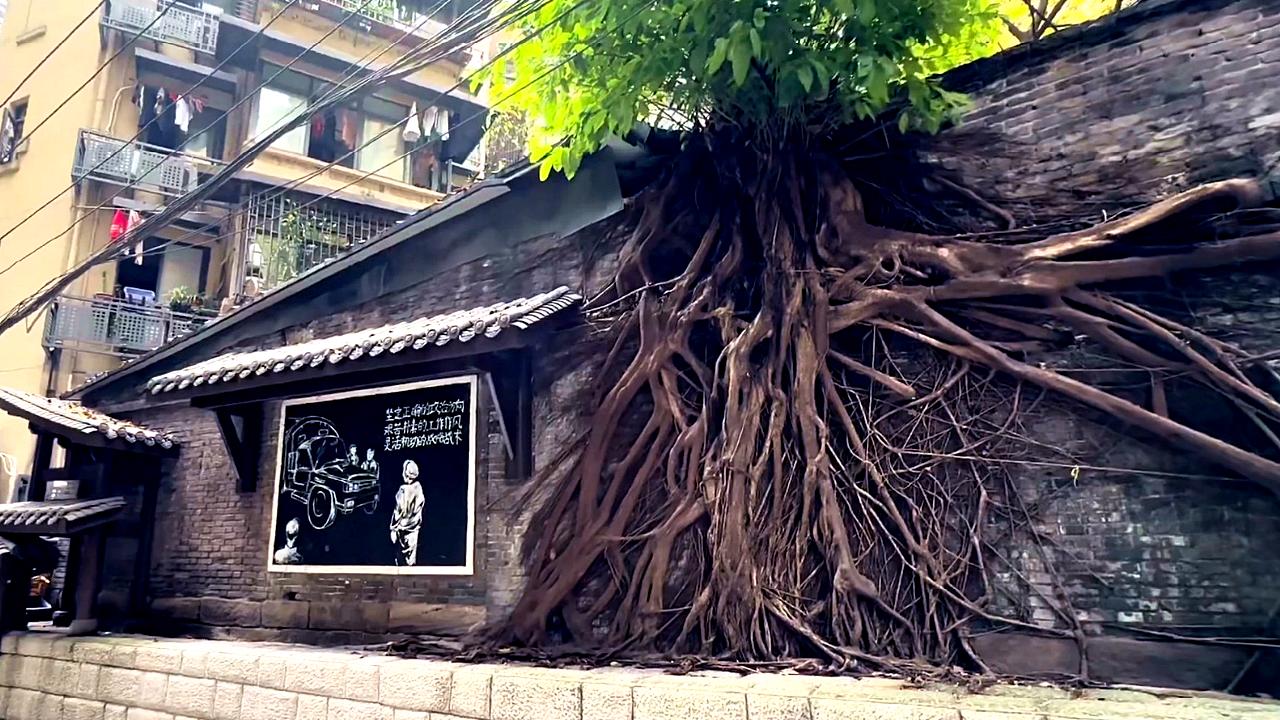 Daijiaxiang Cliff Trail